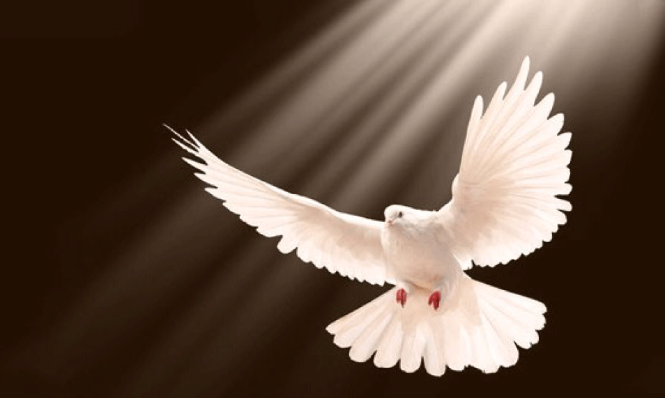 7 Benefits of Being Filled With The Holy Spirit | Worship Leaders 