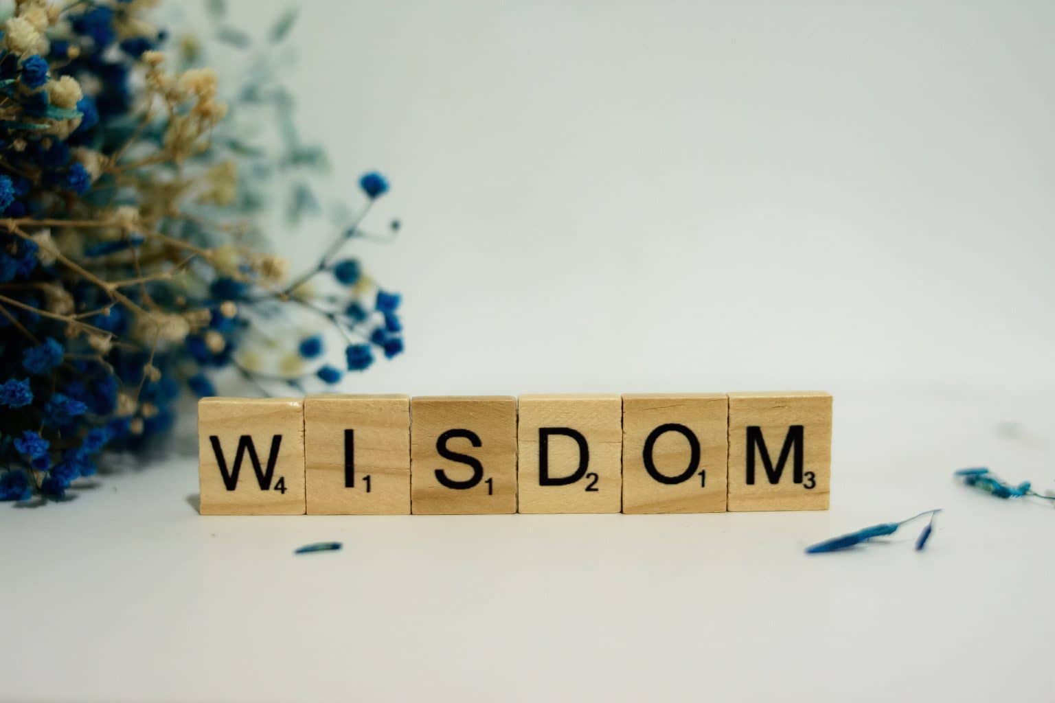 Image Wisdom Loading Do You Need Wisdom and Good Judgment? | Worship Leaders University